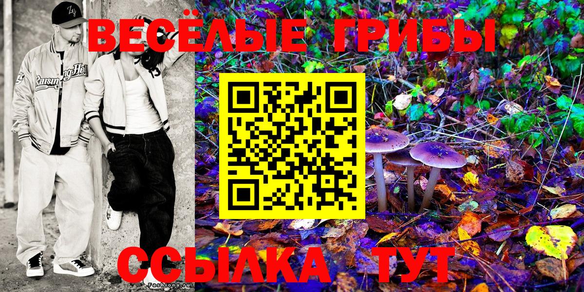 купить  сайты  Вход с VPN  Кинель  Галлюциногенные грибы Cubensis  Псилоцибиновые грибы прущие грибы 